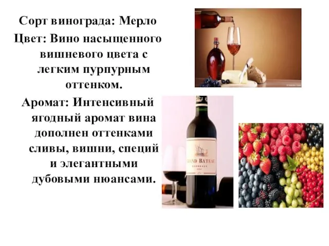 Сорт винограда: Мерло Цвет: Вино насыщенного вишневого цвета с легким пурпурным оттенком.