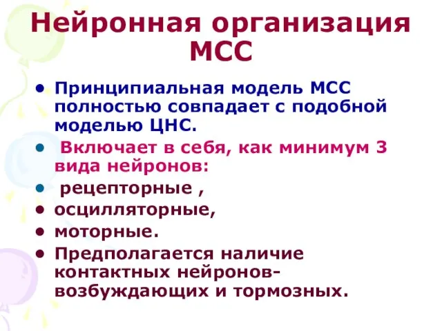 Нейронная организация МСС Принципиальная модель МСС полностью совпадает с подобной моделью ЦНС.