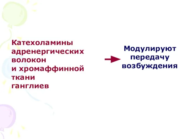 Катехоламины адренергических волокон и хромаффинной ткани ганглиев Модулируют передачу возбуждения