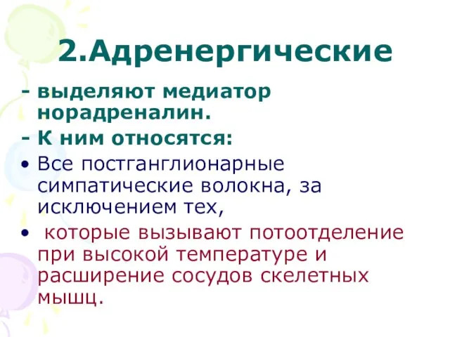 2.Адренергические выделяют медиатор норадреналин. К ним относятся: Все постганглионарные симпатические волокна, за