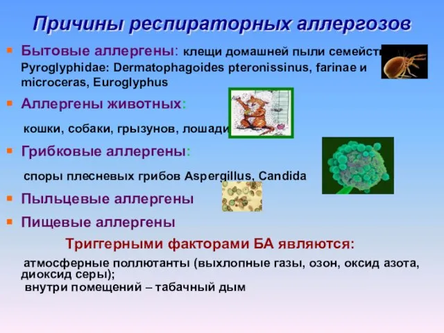 Бытовые аллергены: клещи домашней пыли семейства Pyroglyphidae: Dermatophagoides pteronissinus, farinae и microceras,