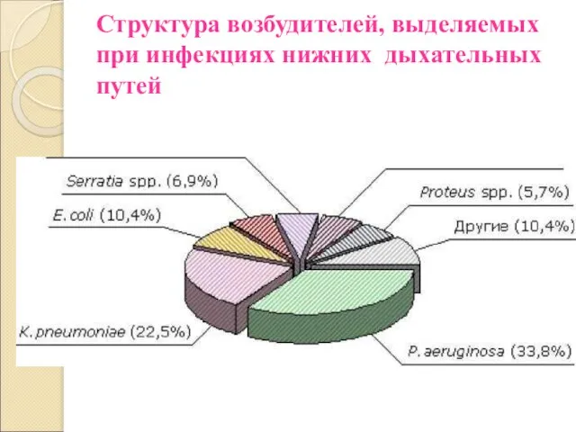 Структура возбудителей, выделяемых при инфекциях нижних дыхательных путей