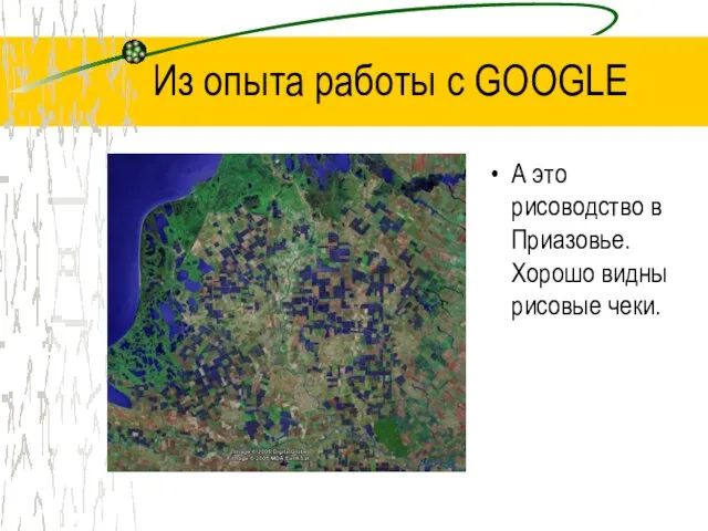 Из опыта работы с GOOGLE А это рисоводство в Приазовье. Хорошо видны рисовые чеки.