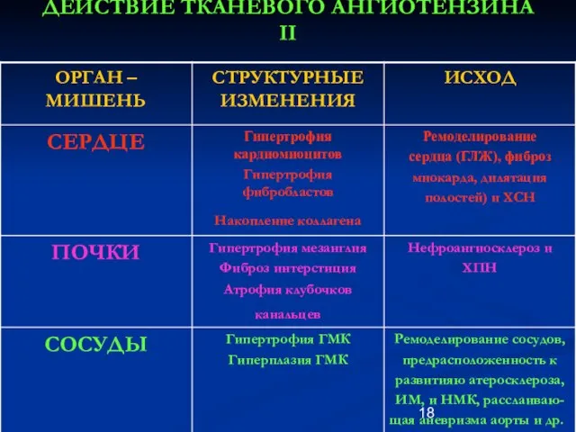 ДЕЙСТВИЕ ТКАНЕВОГО АНГИОТЕНЗИНА II до 30 лет 31-45 лет