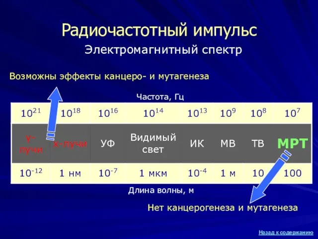 Электромагнитный спектр Длина волны, м Частота, Гц Нет канцерогенеза и мутагенеза Радиочастотный