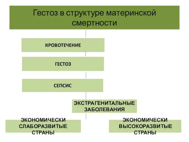 Гестоз в структуре материнской смертности ЭКСТРАГЕНИТАЛЬНЫЕ ЗАБОЛЕВАНИЯ ЭКОНОМИЧЕСКИ СЛАБОРАЗВИТЫЕ СТРАНЫ ЭКОНОМИЧЕСКИ ВЫСОКОРАЗВИТЫЕ СТРАНЫ