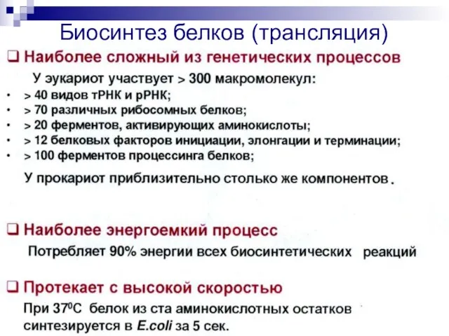 Биосинтез белков (трансляция)