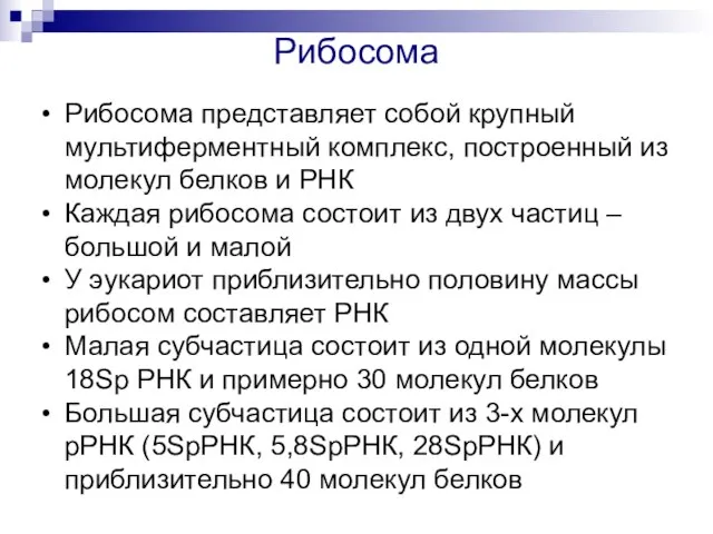 Рибосома Рибосома представляет собой крупный мультиферментный комплекс, построенный из молекул белков и