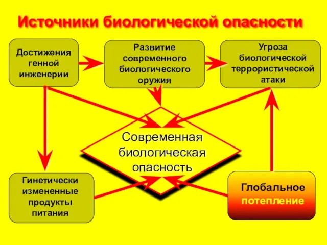 Источники биологической опасности Современная биологическая опасность Глобальное потепление Достижения генной инженерии Угроза