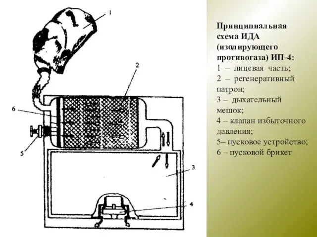 Принципиальная схема ИДА (изолирующего противогаза) ИП-4: 1 – лицевая часть; 2 –