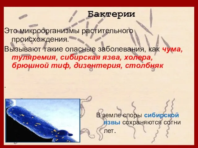 Бактерии Это микроорганизмы растительного происхождения. Вызывают такие опасные заболевания, как чума, туляремия,