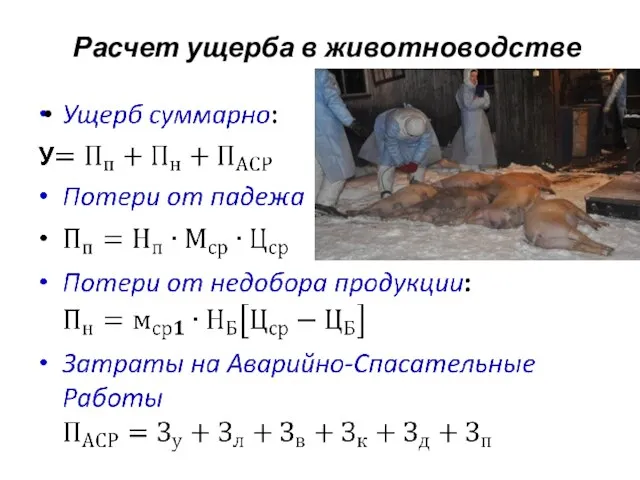 Расчет ущерба в животноводстве