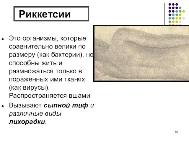 Риккетсии Это организмы, которые сравнительно велики по размеру (как бактерии), но способны