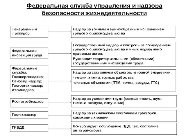 Федеральная служба управления и надзора безопасности жизнедеятельности