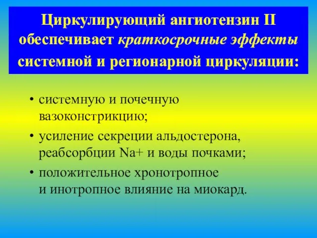 Циркулирующий ангиотензин II обеспечивает краткосрочные эффекты системной и регионарной циркуляции: системную и