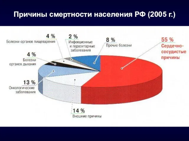 Причины смертности населения РФ (2005 г.)