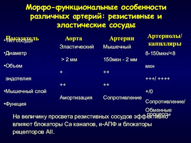 Морфо-функциональные особенности различных артерий: резистивные и эластические сосуды Показатель Тип сосуда Диаметр