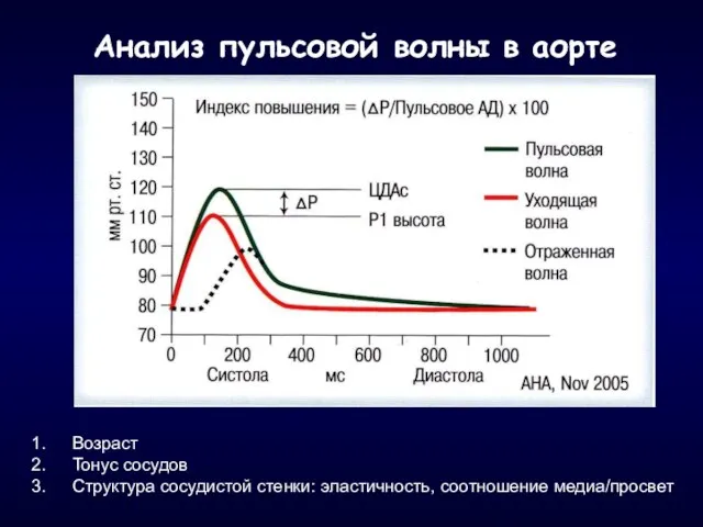 Анализ пульсовой волны в аорте Возраст Тонус сосудов Структура сосудистой стенки: эластичность, соотношение медиа/просвет