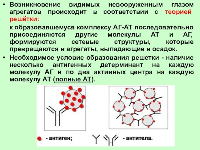 Возникновение видимых невооруженным глазом агрегатов происходит в соответствии с теорией решётки: к