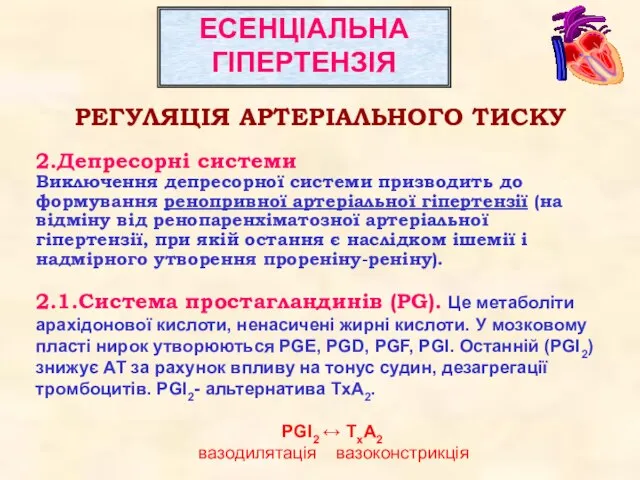 РЕГУЛЯЦІЯ АРТЕРІАЛЬНОГО ТИСКУ 2.Депресорні системи Виключення депресорної системи призводить до формування ренопривної