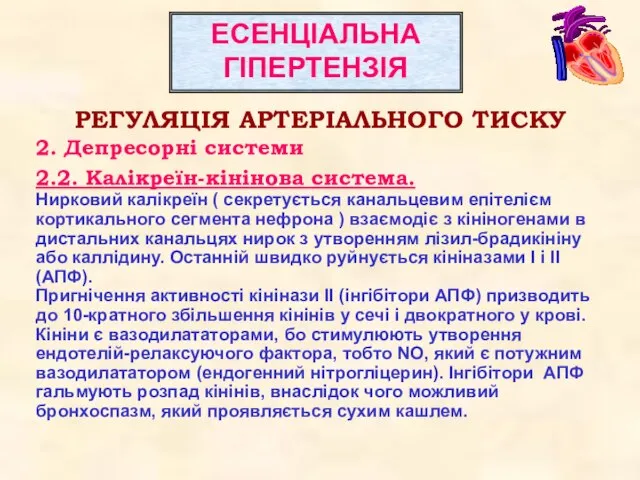 РЕГУЛЯЦІЯ АРТЕРІАЛЬНОГО ТИСКУ 2. Депресорні системи 2.2. Калікреїн-кінінова система. Нирковий калікреїн (