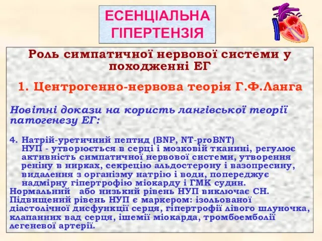 Роль симпатичної нервової системи у походженні ЕГ 1. Центрогенно-нервова теорія Г.Ф.Ланга Новітні