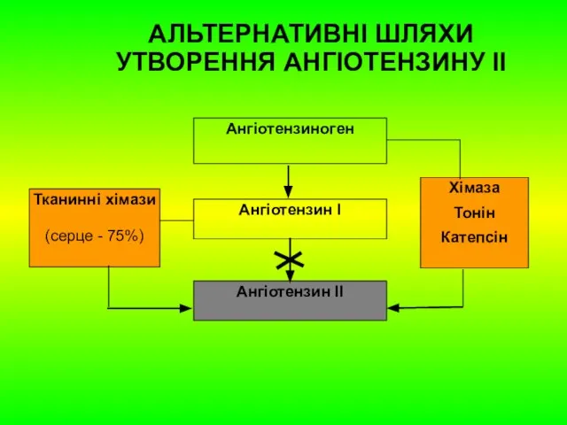 АЛЬТЕРНАТИВНІ ШЛЯХИ УТВОРЕННЯ АНГІОТЕНЗИНУ II Ангіотензиноген Ангіотензин І Ангіотензин ІІ Тканинні хімази