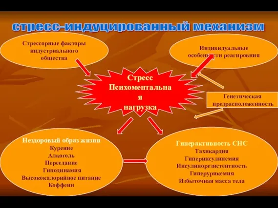 стресс-индуцированный механизм Стресс Психоментальная нагрузка Стрессорные факторы индустриального общества Индивидуальные особенности реагировния