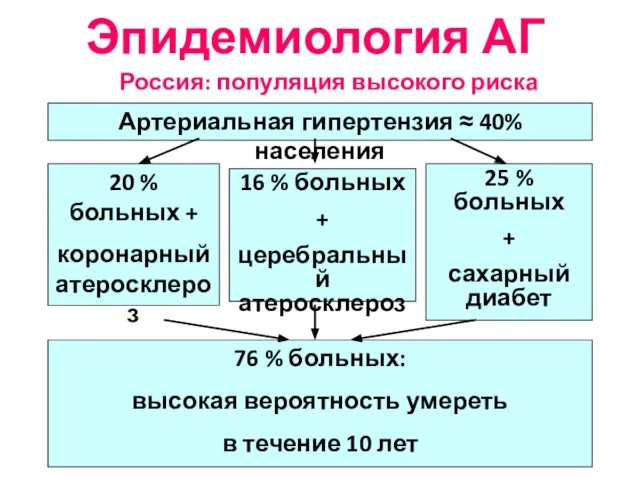 Россия: популяция высокого риска Артериальная гипертензия ≈ 40% населения 20 % больных