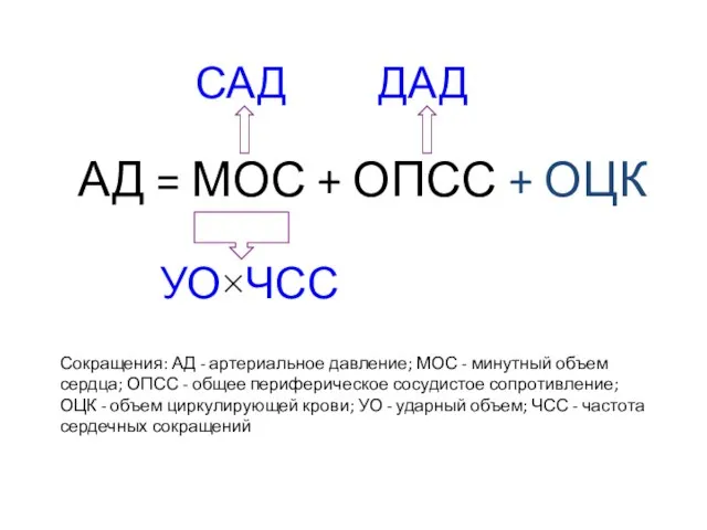 АД = МОС + ОПСС + ОЦК САД ДАД УО×ЧСС Сокращения: АД