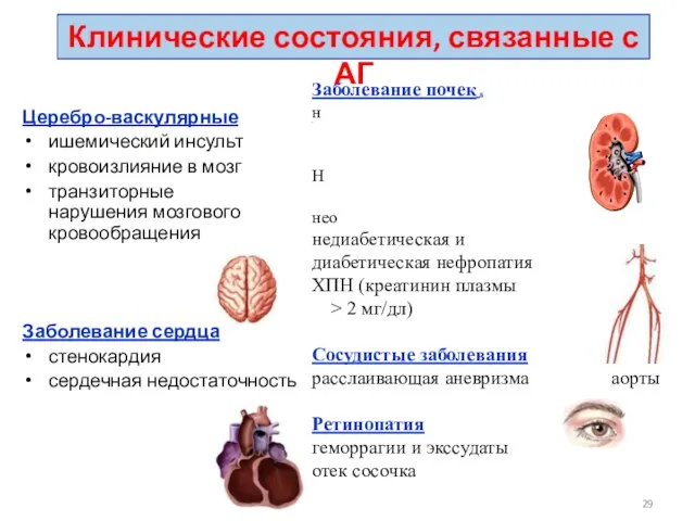Церебро-васкулярные ишемический инсульт кровоизлияние в мозг транзиторные нарушения мозгового кровообращения Заболевание сердца