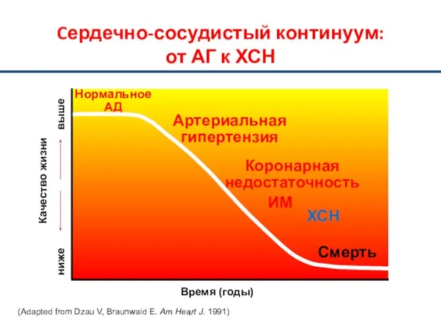 Cердечно-сосудистый континуум: от АГ к ХСН Качество жизни Время (годы) Нормальное АД