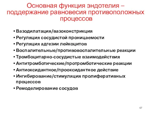 Основная функция эндотелия – поддержание равновесия противоположных процессов Вазодилатация/вазоконстрикция Регуляция сосудистой проницаемости