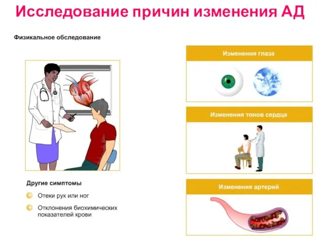 Исследование причин изменения АД