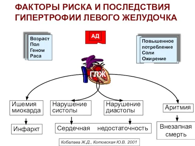 ФАКТОРЫ РИСКА И ПОСЛЕДСТВИЯ ГИПЕРТРОФИИ ЛЕВОГО ЖЕЛУДОЧКА ГЛЖ Ишемия миокарда Нарушение систолы