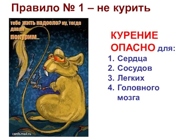 Правило № 1 – не курить КУРЕНИЕ ОПАСНО для: Сердца Сосудов Легких Головного мозга