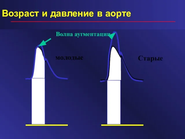 Возраст и давление в аорте молодые Старые Волна аугментации