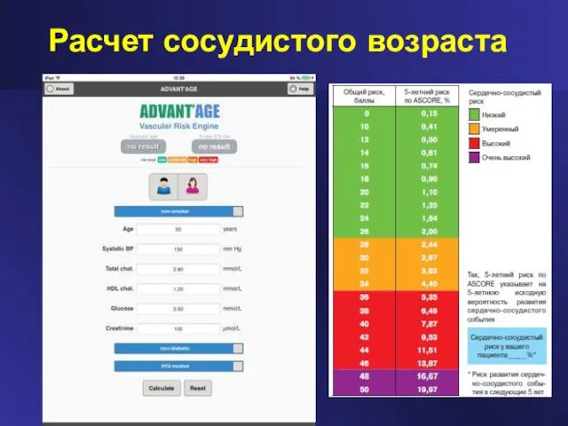 Расчет сосудистого возраста
