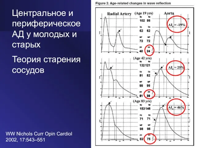 WW Nichols Curr Opin Cardiol 2002, 17:543–551 Центральное и периферическое АД у