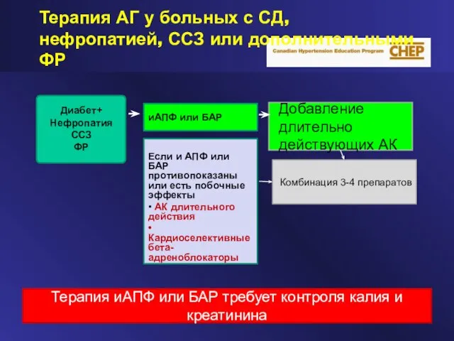 Терапия иАПФ или БАР требует контроля калия и креатинина Терапия АГ у