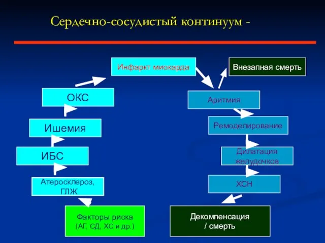 Сердечно-сосудистый континуум - ОКС Ишемия ИБС Атеросклероз, ГЛЖ Факторы риска (АГ, СД,