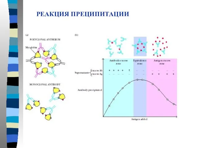 РЕАКЦИЯ ПРЕЦИПИТАЦИИ