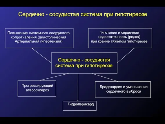 Сердечно - сосудистая система при гипотиреозе Повышение системного сосудистого сопротивления (диастолическая Артериальная