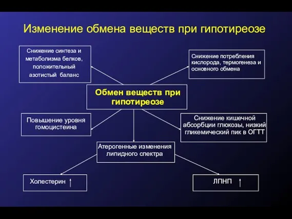 Изменение обмена веществ при гипотиреозе Снижение синтеза и метаболизма белков, положительный азотистый