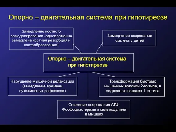 Опорно – двигательная система при гипотиреозе Замедление костного ремоделирования (одновременно замедлена костная