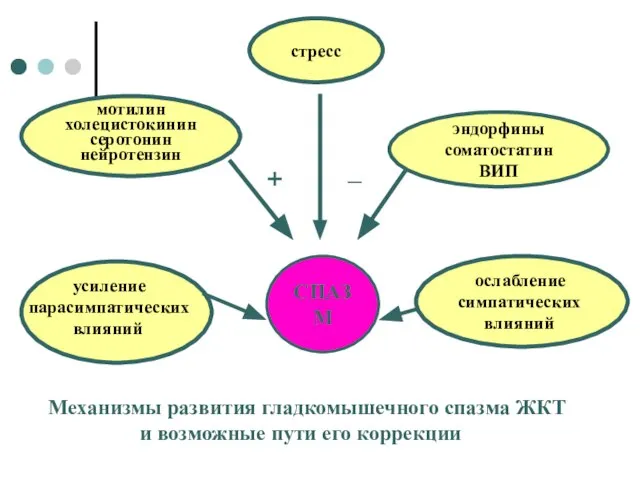 эндорфины соматостатин ВИП СПАЗМ Механизмы развития гладкомышечного спазма ЖКТ и возможные пути