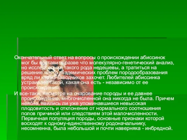 Окончательный ответ на вопросы о происхождении абиссинок мог бы поставить разве что