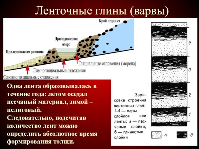 Ленточные глины (варвы) Одна лента образовывалась в течение года: летом оседал песчаный