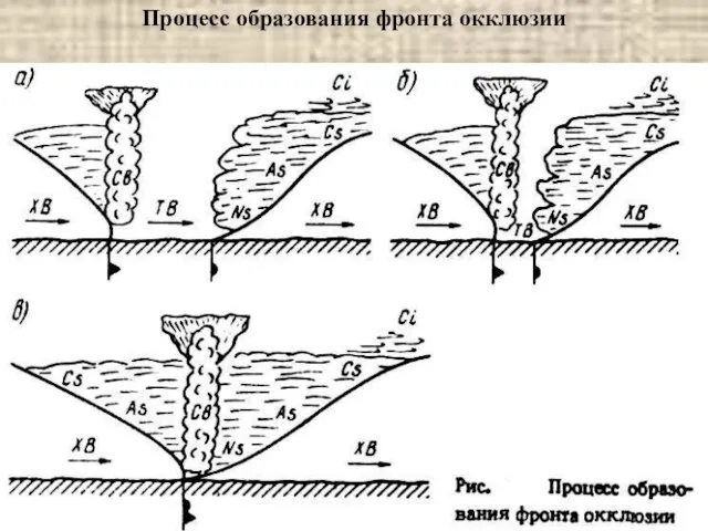 Процесс образования фронта окклюзии