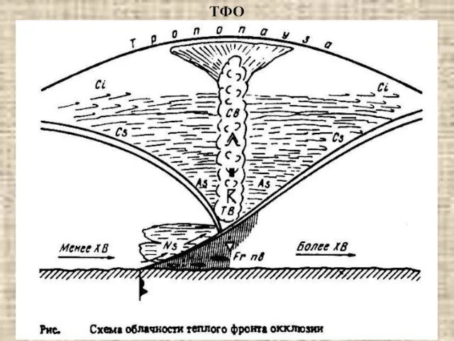 ТФО